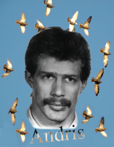 Andris madarakkal